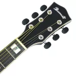 Paramount ED20 Acoustic Guitar, 41 inch acoustic guitar, Dreadnought style, concave neck, spruce/linden + free bag & cable set & pickpocket & pick