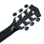 Paramount ED20 Acoustic Guitar, 41 inch acoustic guitar, Dreadnought style, concave neck, spruce/linden + free bag & cable set & pickpocket & pick