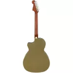 Fender® NewPorter Player Plear Electric Guitar 41 inch Sol Slide/Mahogany Electric head Fender Fishman® ** Center Insurance