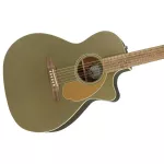 Fender® NewPorter Player Plear Electric Guitar 41 inch Sol Slide/Mahogany Electric head Fender Fishman® ** Center Insurance