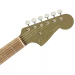 Fender® NewPorter Player Plear Electric Guitar 41 inch Sol Slide/Mahogany Electric head Fender Fishman® ** Center Insurance