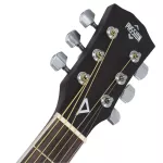 PASSION PS402C 40 inch guitar, Mahogany/Linden Car