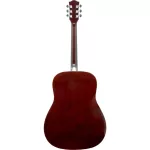 Fantasia BB2021 Blackbird, 41 inch acoustic guitar, Dreadnough shape