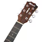 Fantasia SOLID36 กีตาร์โปร่ง 36 นิ้ว ไม้แท้ท็อปโซลิดสปรูซ/มะฮอกกานี เคลือบด้าน ลูกบิดโลหะ