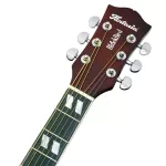 Fantasia BB2021 Blackbird 41 inch guitar Dreadnought Cotton Linden Piwee Coated Bird Card ** Airy Guitar