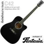 Fantasia C42, 41 inch acoustic guitar, Dreadnough style, concave neck, spruce/linden coated ** new acoustic guitar **