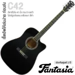 Fantasia C42 กีต้าร์โปร่ง 41 นิ้ว ทรง Dreadnought คอเว้า ไม้สปรูซ/ลินเดน เคลือบเงา ** กีตาร์โปร่งมือใหม่ **