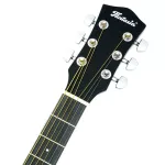 Fantasia C42, 41 inch acoustic guitar, Dreadnough style, concave neck, spruce/linden coated ** new acoustic guitar **