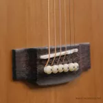 Gusta SOM5CE กีต้าร์โปร่ง Music Arms