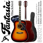 Fantasia BB2021 Blackbird 41 inch guitar, Dreadnought style, linden coating, Piwin, bird pattern card + free bag & kapok & pick