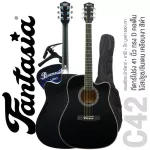 Fantasia C42, airy guitar 41 inches, Dreadnought shape, Sophusmwood/Linden coated ** New acoustic guitar ** + Free bag & Capo & Pick
