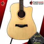 Amari Am418C, AM418C, AM418C, AM-418CE [Free set] [with Set Up & QC, easy to play] [100%authentic] [Free delivery] Turtle