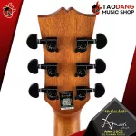 Amari Am418C, AM418C, AM418C, AM-418CE [Free set] [with Set Up & QC, easy to play] [100%authentic] [Free delivery] Turtle