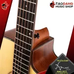 Amari Am418C, AM418C, AM418C, AM-418CE [Free set] [with Set Up & QC, easy to play] [100%authentic] [Free delivery] Turtle