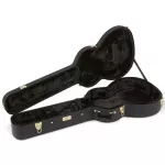 Fender® PS-220E Parlor Electric Guitar Real wood, both the picker, Fender/Fishman®, shadow coated + free hard case ** 1 year insurance **