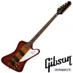Gibson® Thunderbird Bass 2019 กีตาร์เบส // ประกันศูนย์ 1 ปี