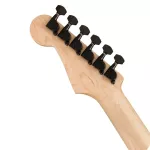 FENDER® LTD HM Strat, 24 Fret Jumbo guitar, Limited Edition Basswood HSS BASSWOOD BASSWOOD.