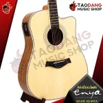 ENYA ED40C ED40C ED40C ELASTIC ELECTRIC GUITARIC GUITAR ED40C ED40C ED40C ED40C ED40C ED40C ED40C ED40C ED40C ED40C ED40C ED40C ED40C EQ ENYA [Free free gift] [With Set Up & QC] [Insurance from the Center] [Free Delivery] Red turtle