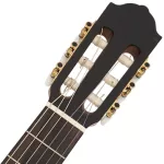 Clevan® C-28S Classical Guitar, Classic Size 4/4 Top Sol, Cedar/Mahakani, Bone Bone, Savarez 500CJ