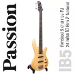 PASSION IB-5, 5 electric guitar, 24 frets, PJ, ELM, ELM, Rose Wood, Rose Wood Pickelling coil