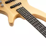 PASSION IB-5, 5 electric guitar, 24 frets, PJ, ELM, ELM, Rose Wood, Rose Wood Pickelling coil