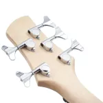 PASSION IB-5, 5 electric guitar, 24 frets, PJ, ELM, ELM, Rose Wood, Rose Wood Pickelling coil