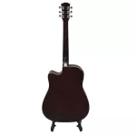 PASSION PS412CE 41 -inch electric guitar, D -neck, Mahogany/Linden Wooden