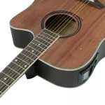 PASSION PS412CE 41 -inch electric guitar, D -neck, Mahogany/Linden Wooden