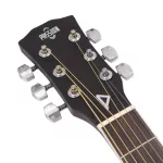 PASSION PS412CE 41 -inch electric guitar, D -neck, Mahogany/Linden Wooden