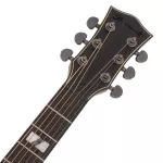 Paramount S450E 41 -inch electric guitar, Top Sol, Cedar Professional level / Fishman Isys+ / D'Adario EXP+ cable