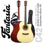 Fantasia C42, 41 inch guitar, Dreadnough shape, concave neck, spruce/linden coated ** New acoustic guitar ** + free