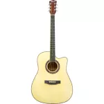 Fantasia C42, 41 inch guitar, Dreadnough shape, concave neck, spruce/linden coated ** New acoustic guitar ** + free