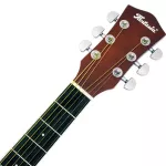 Fantasia C42, 41 inch guitar, Dreadnough shape, concave neck, spruce/linden coated ** New acoustic guitar ** + free