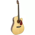 Clevan D25SE 41-inch electric guitar, topped up, rosewood/nubone, using the guitar line D'Addario B-Band.