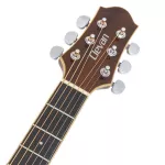 Clevan D25SE 41-inch electric guitar, topped up, rosewood/nubone, using the guitar line D'Addario B-Band.