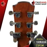 [กทม.&ปริมณฑล ส่งGrabด่วน] กีต้าร์โปร่งไฟฟ้า Yamaha CSF1M [ฟรีของแถม] [พร้อมSet Up&QCเล่นง่าย] [ประกันจากศูนย์] [แท้100%] [ส่งฟรี] เต่าแดง