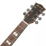 Paramount S480, airy guitar 41 "D shape, Top Sol, Cedar, Prud/Ebo, professional coating Black nickel knob ** use cable