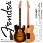 Fender® Acoustasonic Player Telecaster Shadow Burtle Electric Guitar TELE Pi -Fishman + Free Soft Case **