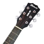 Fantasia SOLID36, airy guitar 36 inches, authentic wood, top solid, rose/Mahokani coating, metal knob + free bag & kapok & pick