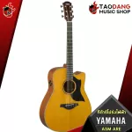 Yamaha A5M Electric Guitar, AC5M [Free, Fully given set] [with Set Up & QC easy to play] [Center insurance] [100%authentic] [Free delivery] Turtle