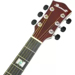 PARAMOUNT ED20E 41 inch electric guitar, D -neck style, Sprueus/Linden EQ 4 Body Tuner + Free Bag & Capo & Pick ** 1 year Insurance **