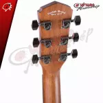 Airy guitar VELAH VOMM - Acoustic Guitar Velah Vomm [Free free gift] [With Set Up & QC Easy to play] [Insurance from Zero] [100%authentic] [Free delivery] Turtle