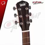 Airy guitar VELAH VGACMM - Acoustic Guitar Velah VGACMM [Free free gift] [with SET Up & QC Easy to play] [Insurance from the center] [100%authentic] [Free delivery] Turtle