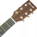 PARAMOUNT Q701E 41 -inch electric guitar, top -tops, rosewood/rosewood, Dreadnough shape, 4 -plated coating, Open Gear ** 1 year warranty **