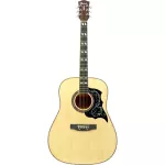 Fantasia BB2021 BlackBird 41 inch guitar Dreadnought Cotto Linden Piwee Piwin Card ** Beginners' Guitar **