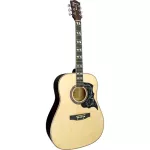 Fantasia BB2021 BlackBird 41 inch guitar Dreadnought Cotto Linden Piwee Piwin Card ** Beginners' Guitar **