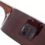 Paramount CD70CEM 41 -inch electric guitar, D -neck, concave neck, Top Solid Mahogy/Mahogany Shadow coating for the whole body ** Fish pickup