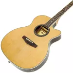 Paramount F555BCEQN กีตาร์โปร่งไฟฟ้า 41 นิ้ว ไม้สปรูซ/โรสวู้ด ปิ๊กอัพ 3 แบนด์ ลำตัวบางหนา 3 นิ้ว จับกระชับเล่นง่าย + แถม