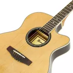 Paramount F555BCEQN กีตาร์โปร่งไฟฟ้า 41 นิ้ว ไม้สปรูซ/โรสวู้ด ปิ๊กอัพ 3 แบนด์ ลำตัวบางหนา 3 นิ้ว จับกระชับเล่นง่าย + แถม