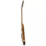 Epiphone® Slash Les Paul Standard กีตาร์ไฟฟ้า ทรง Les Paul ซิกเนเจอร์ Slash บอดี้ไม้ Mahogany ไม้หน้า Flame Maple ปิ๊กอั